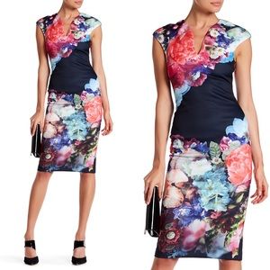 Ted Baker London Brynee Bouquet Dress size 0